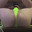 ThongBB86