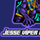 Viper_254