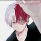 Todoroki_Shoto1
