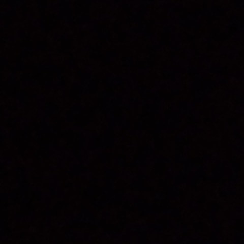 pizo1