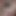 dickpigbottm