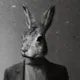 greenrabbidrabbit