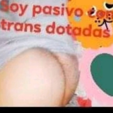 pasivocontrans