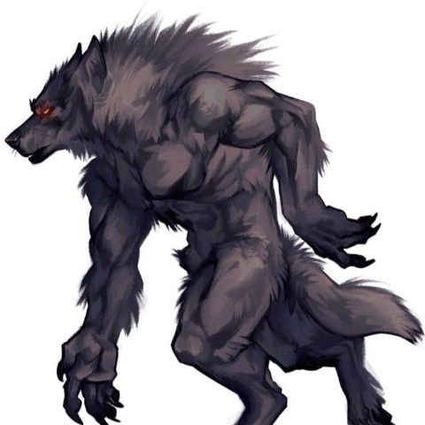 werewolf025