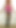 nylonguy_cd