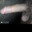 unknowdicker2