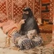 Qeq434
