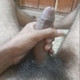 Teluguboy001