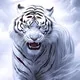 Bhabhilover85