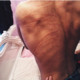 alexan888