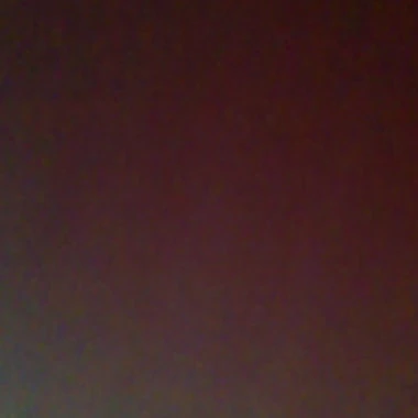 nipoga1