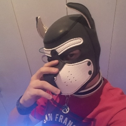 Rodrigopokemon