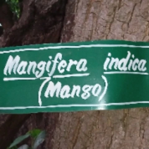 SudarshanXAnil