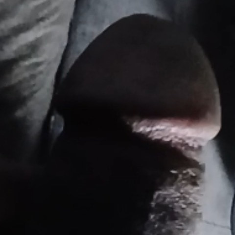 Nigolo1