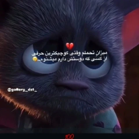 HaseebGoody