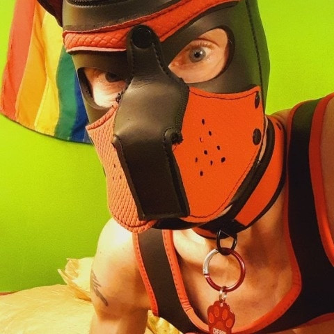 Pup-Cherry