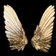 elham_akbaezade