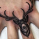 Channa_de_Silva