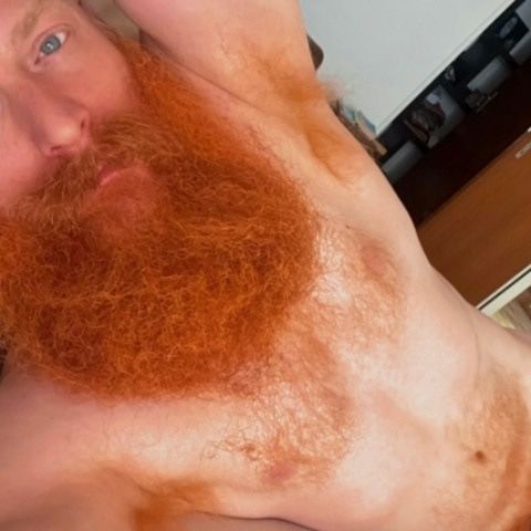 Ginger_Man_76