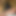 Porn__world