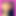 erikathesissyslut