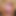 Jennette_McCurdy