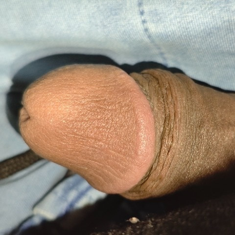 desi-dick341