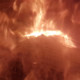 hcf666