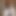 PornActor81