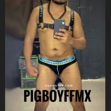 PigBoyFFMX