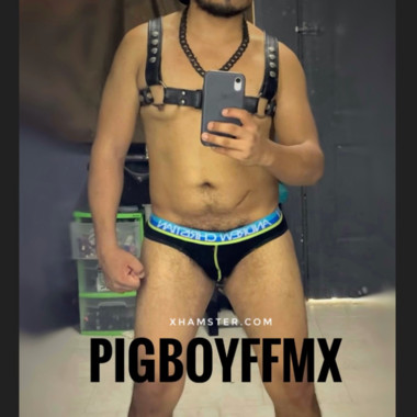 PigBoyFFMX