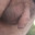 Socaluncut