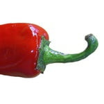 redpepper27