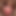 HaleyBaby19