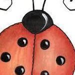 ladybug12345
