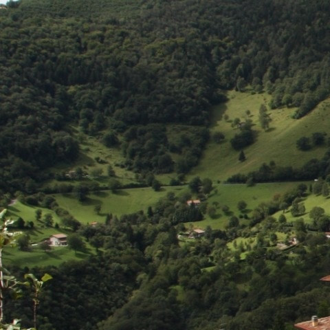 mirkomirko58