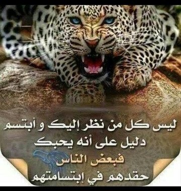mustafa2017