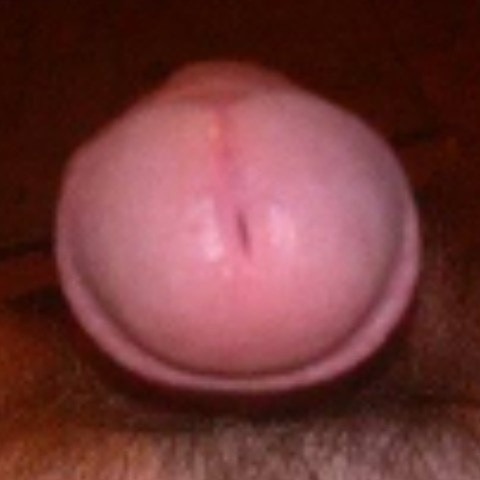 canicuminurpussy
