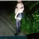 Video pregled