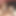 pornlovertransexual