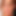 facialcasting