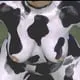 greek_cow