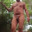 ghansyam12