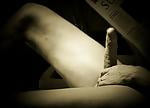 paperplane66