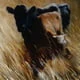 onthemove