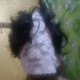 Chutchatna1000