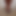 NippleSluttyCunt