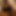 Bitch_fuer_BBC