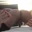 prettysissyfeet