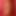 nina_hartley
